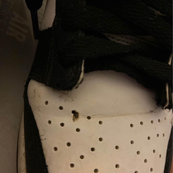 Panda dunks - Picture 6 of 6